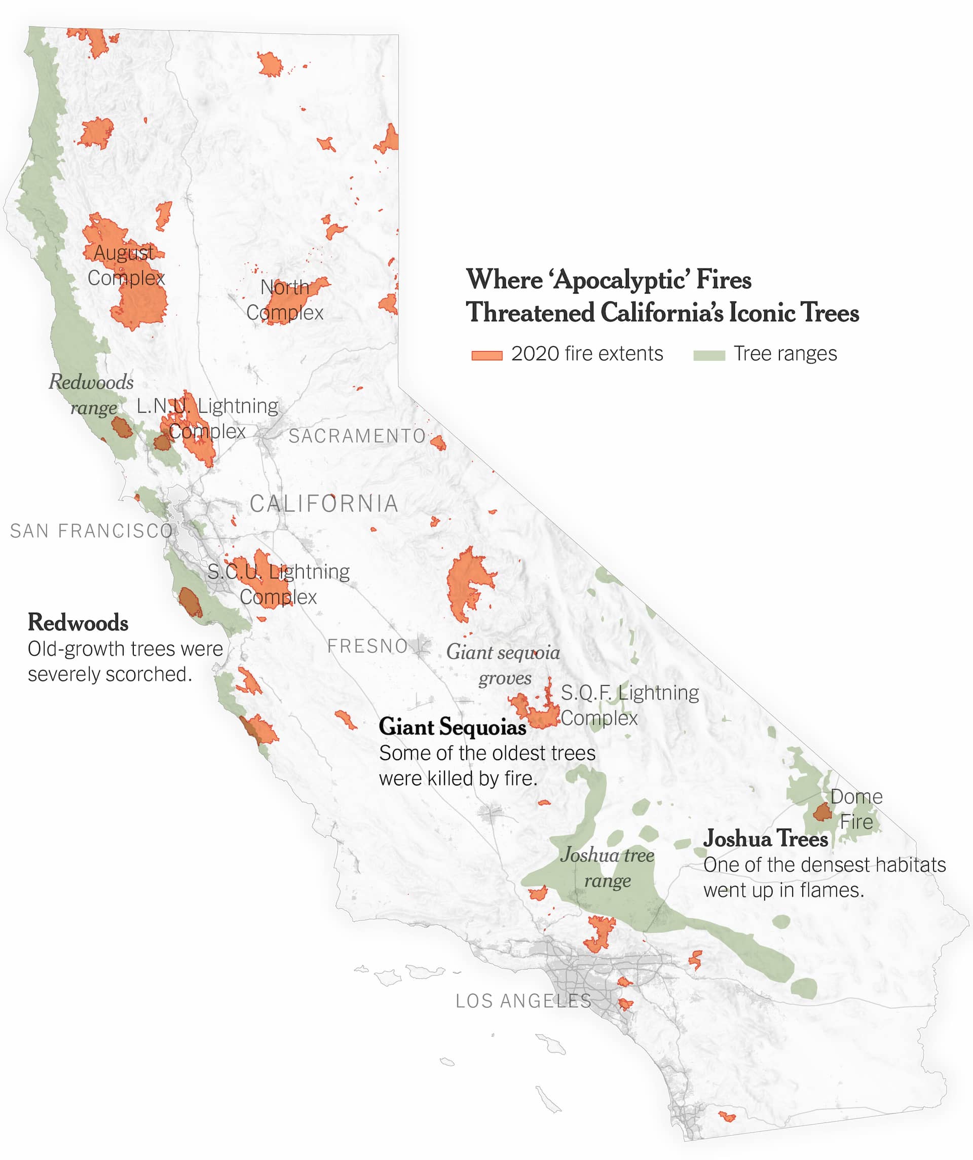 A map of California with tree ranges in green and annotated by type of tree, overlaid with 2020 fire extents showing proximity and a wide concentration of fires across the whole state.