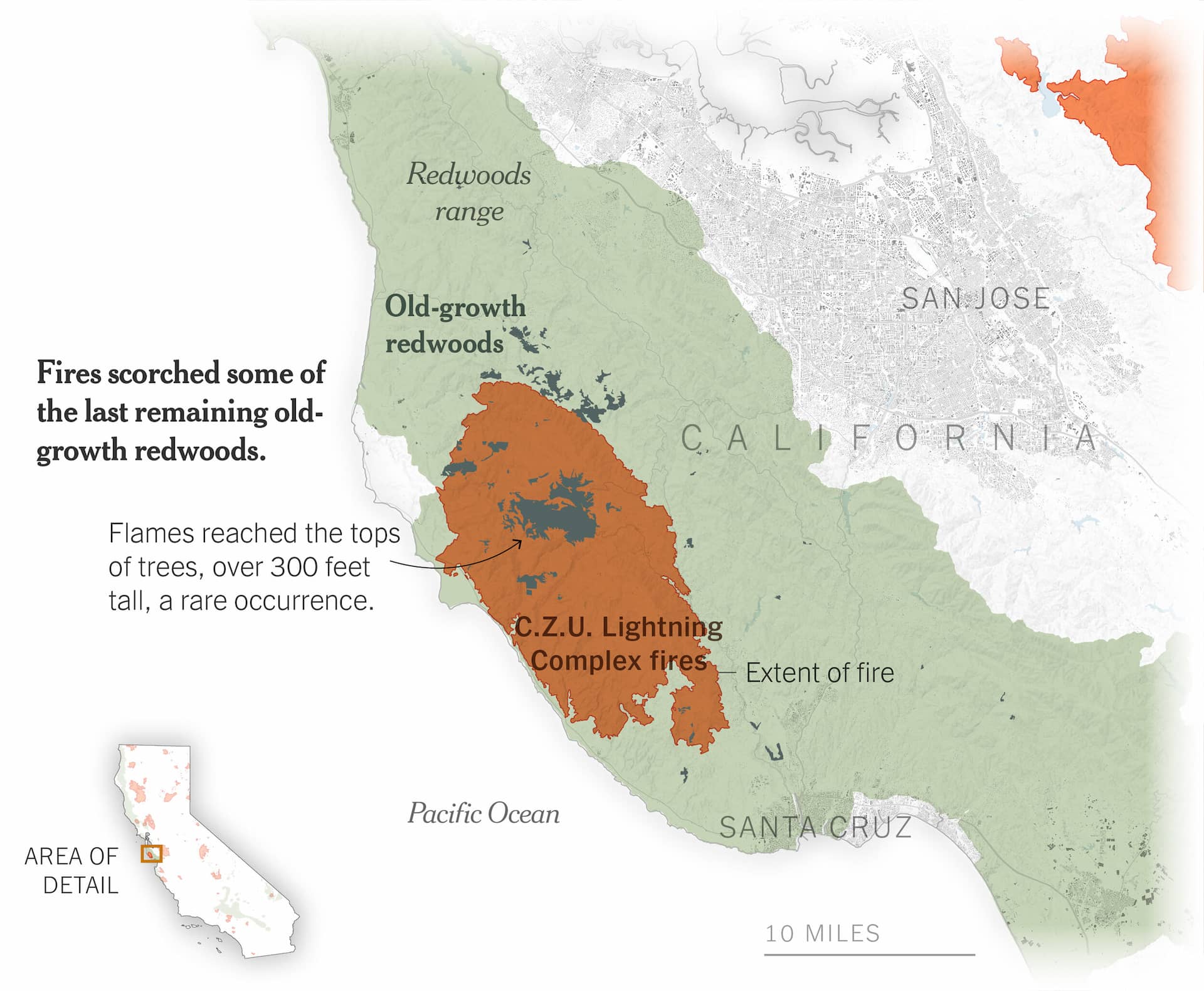 A detail map of a different area in California, showing a large swath of redwood ranges, with old-growth areas highlighted in a darker color. A large burn extent covers the largest of the old-growth areas and quite a bit of the range itself.