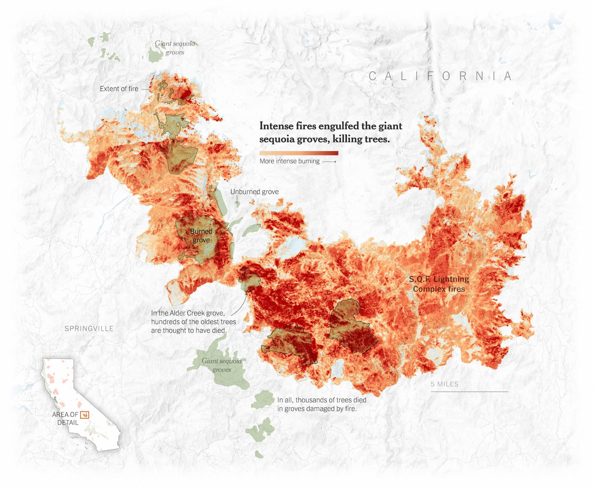 A detail map of an area in California showing areas of sequoia groves underneath larger areas of burning, vibrantly color-coded by intensity of burn.